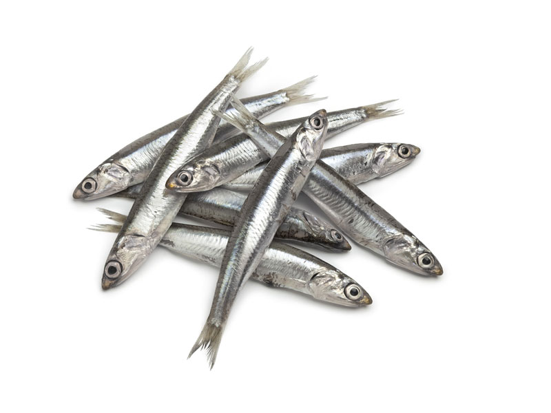 Anchoas