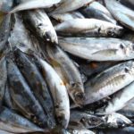 Pescados y Mariscos