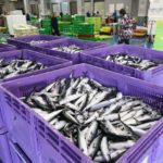Pescados y Mariscos