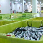 Pescados y Mariscos